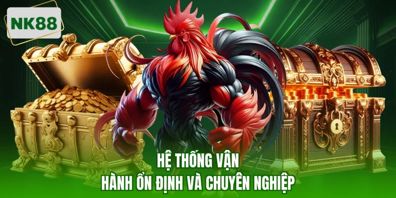 Hệ thống vận hành ổn định và chuyên nghiệp