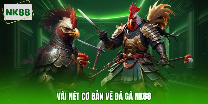 Vài nét cơ bản về đá gà NK88